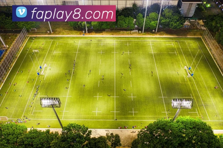 多媒体互动体验